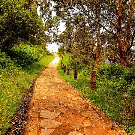 La Colina 4* גיחון