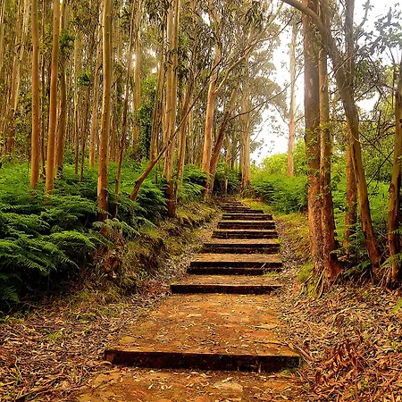 La Colina מלון 4*